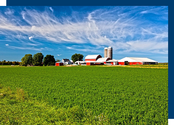 A large green field with farm buildings in the background.