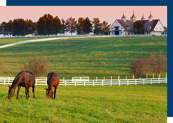 Two horses grazing in a field with a white fence.